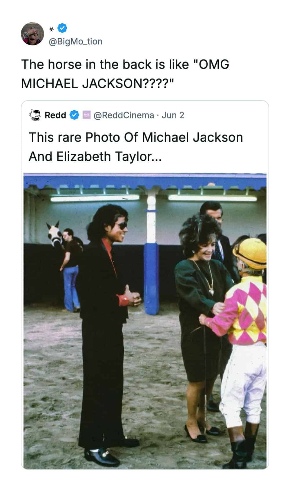 The horse in the back is like "OMG MICHAEL JACKSON????".