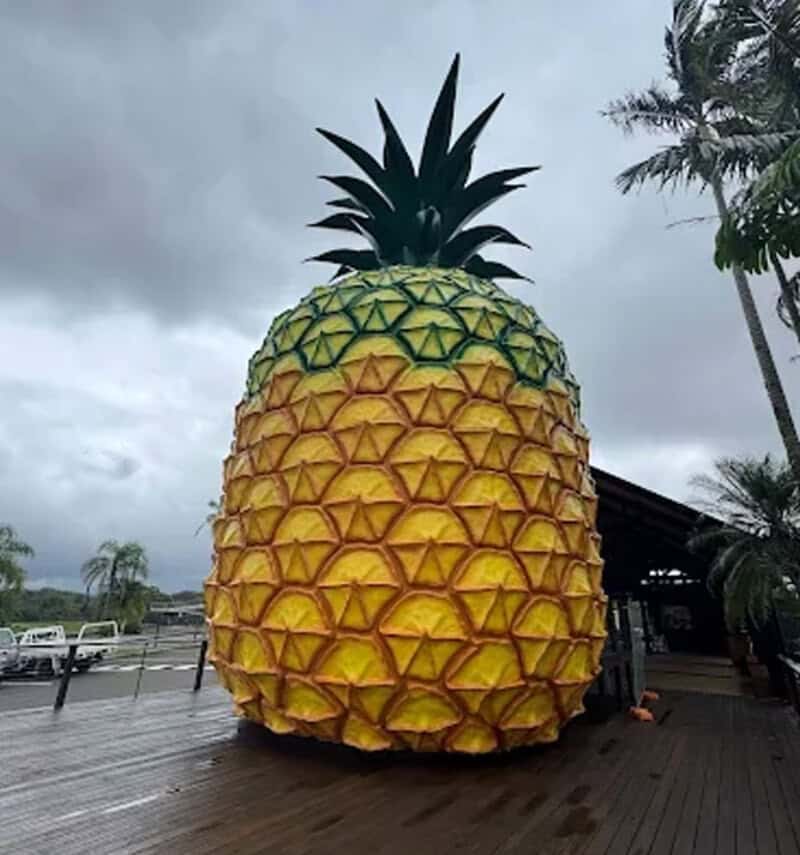 Giant pineapple sculpture on a wooden deck with cloudy sky background.