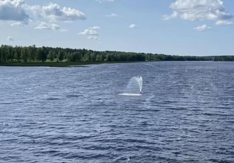 A lake with a fountain and a tree-lined shoreline under a partly cloudy sky.