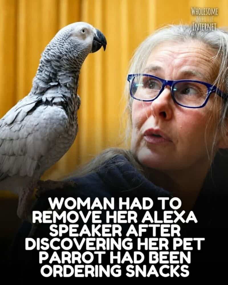 Woman with glasses and a pet parrot, both looking at each other.