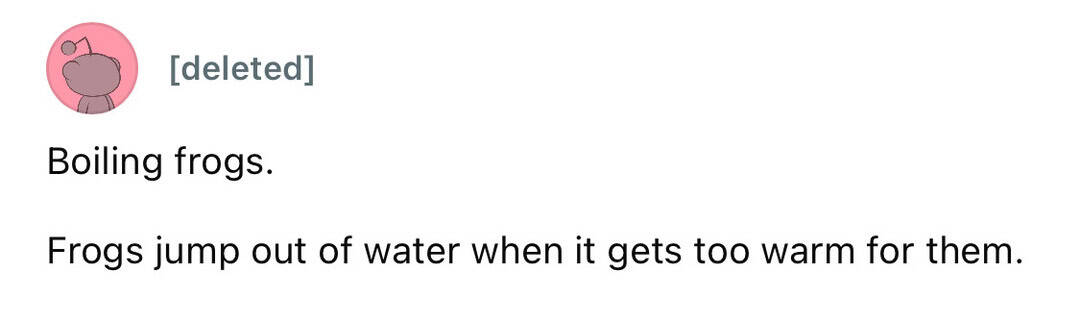 A cute cartoon pig with the text "Boiling frogs. Frogs jump out of water when it gets too warm for t.