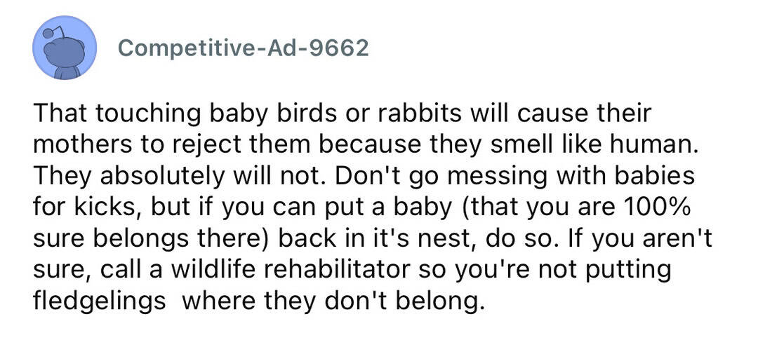 That touching baby birds or rabbits will cause their mothers to reject them because they smell like.