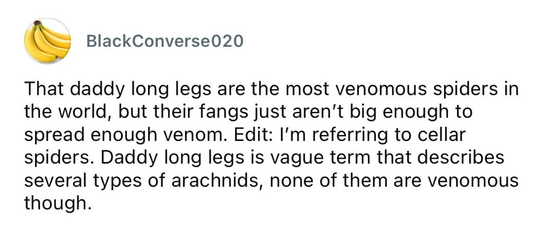 Long-legged daddy long legs are venomous spiders with small fang size.