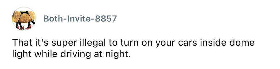 That it's super illegal to turn on your cars inside dome light while driving at night.