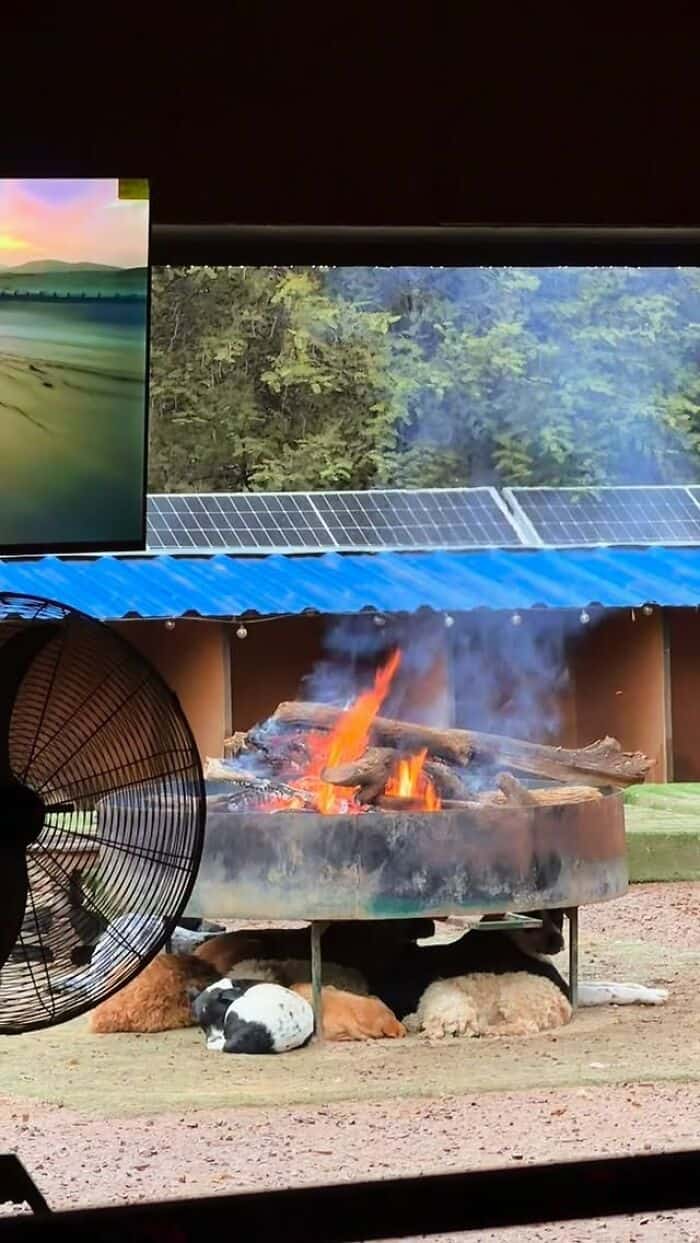 Dog sleeping near a fire pit with a solar panel and a screen showing nature.
