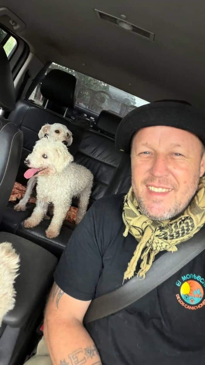 Man with a black hat and scarf in car with three dogs, two white and one brown.