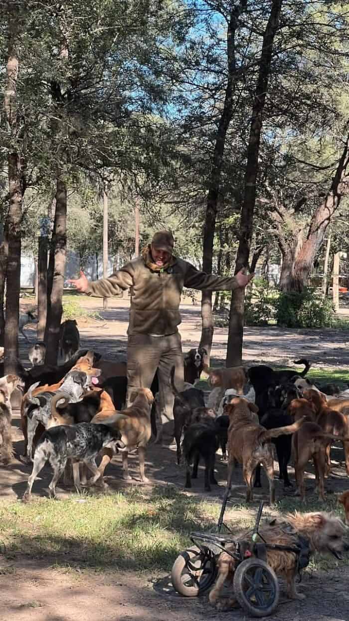 Person with arms outstretched among many dogs in a wooded park.