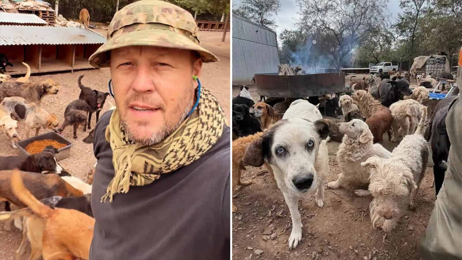 Volunteer with rescue dogs at Refugio El Montecito, surrounded by many dogs and a fire pit.