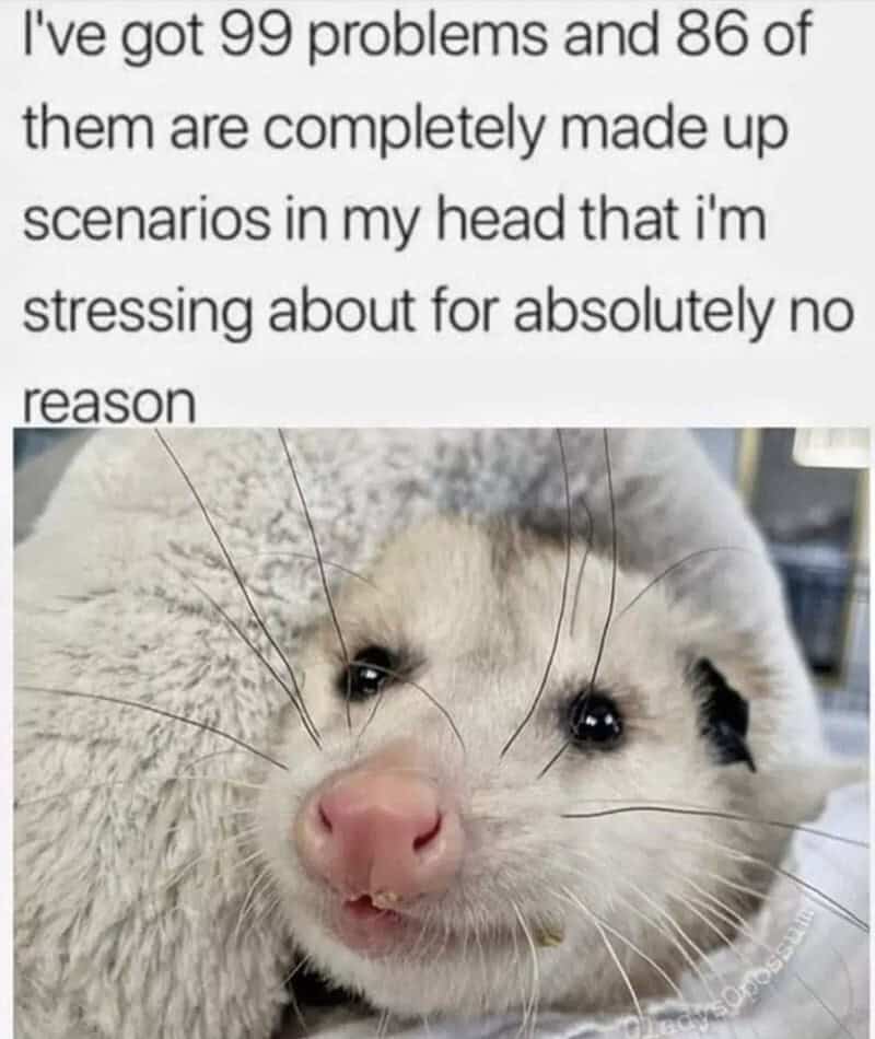 A ferret with a humorous caption about stress and problems.
