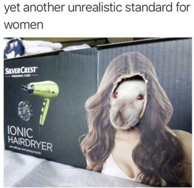 Unicorn face with long hair on a box labeled 'Ionic Hairdryer'.