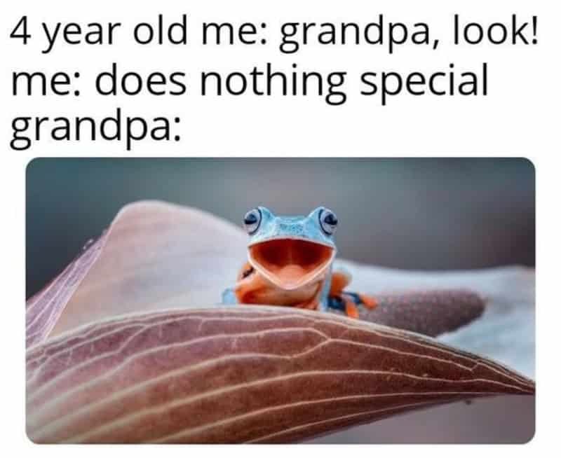 A blue frog with big eyes and an open mouth on a leaf.