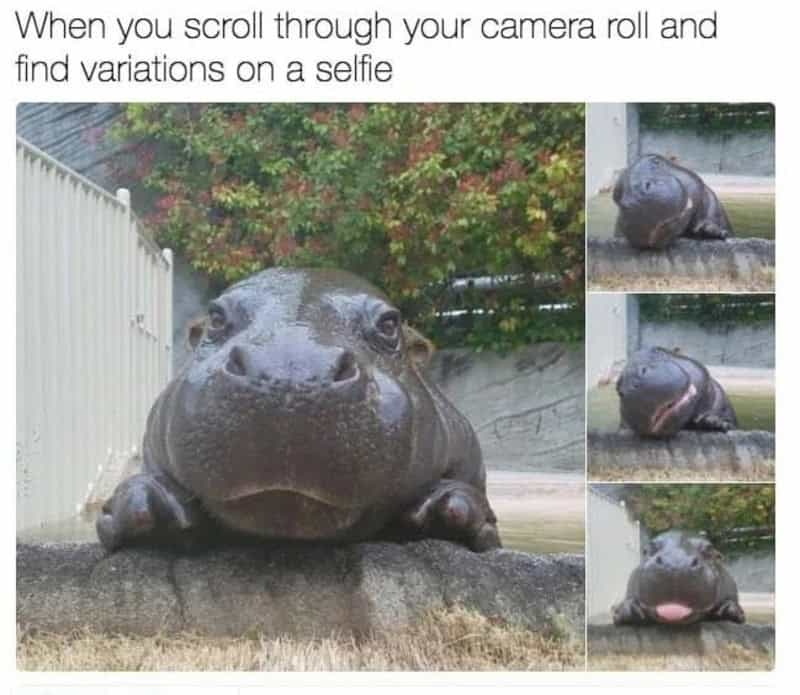 When you scroll through your camera roll and find variations on a selfie.