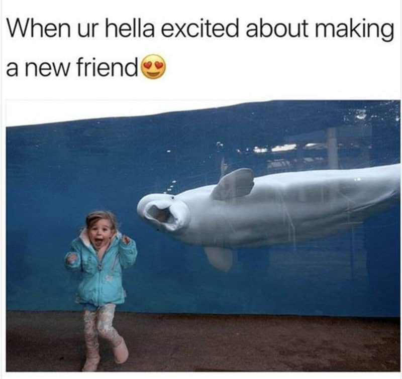 Child excitedly meets a large fish at an aquarium.