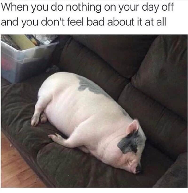 Pig sleeping on a couch with caption about doing nothing on a day off.