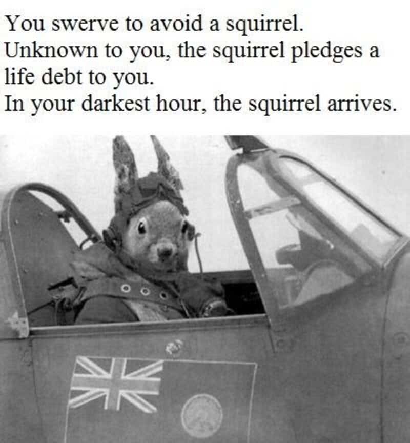 Dog in pilot's uniform in cockpit with quote about squirrels and dark hours.