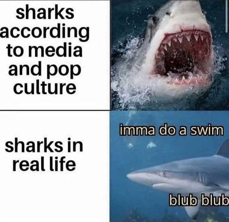 Sharks according to media and pop culture vs. sharks in real life with humorous captions.