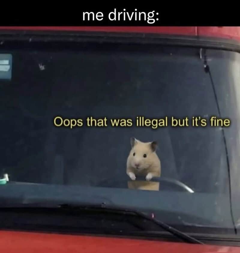 Hamster driving a car with a caption about illegal driving.