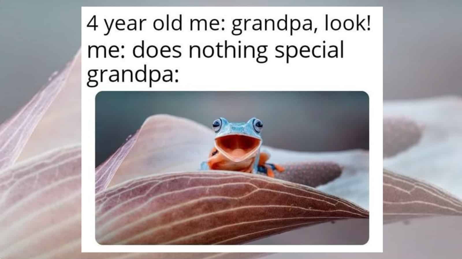 Four-year-old child says to grandpa, look! grandpa: does nothing special grandpa.
