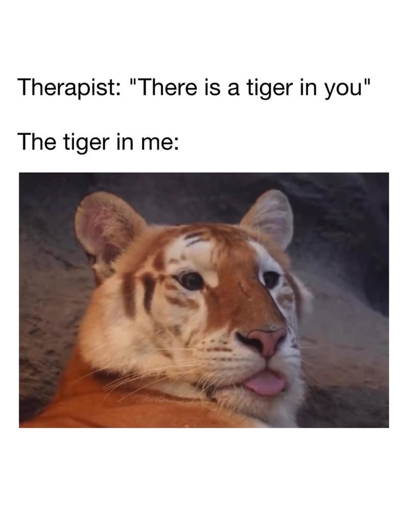 A tiger with a humorous expression, tongue slightly out, in a natural setting.