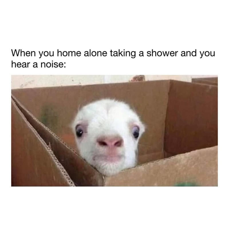 Cute goat peeking out of a cardboard box with text about hearing a noise when home alone.