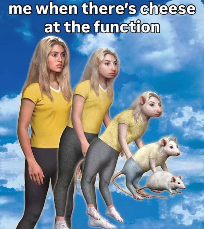 "Me when there's cheese at the function" meme with a girl transforming into a mouse, showing increas.