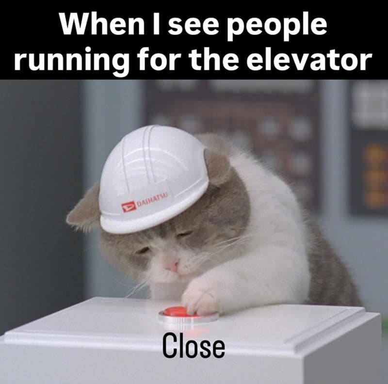 Cat wearing a hard hat pressing a button with "Close" text.