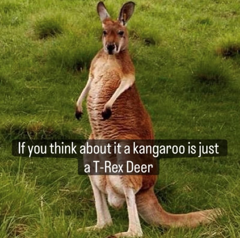 Kangaroo with a humorous caption about being a T-Rex Deer.