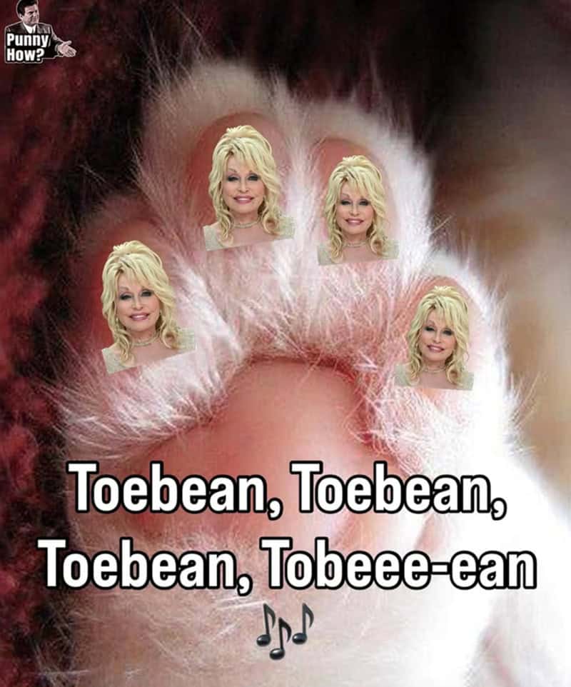"Toebean, Toebean, Toebean, Tobeee-ean" with musical notes.