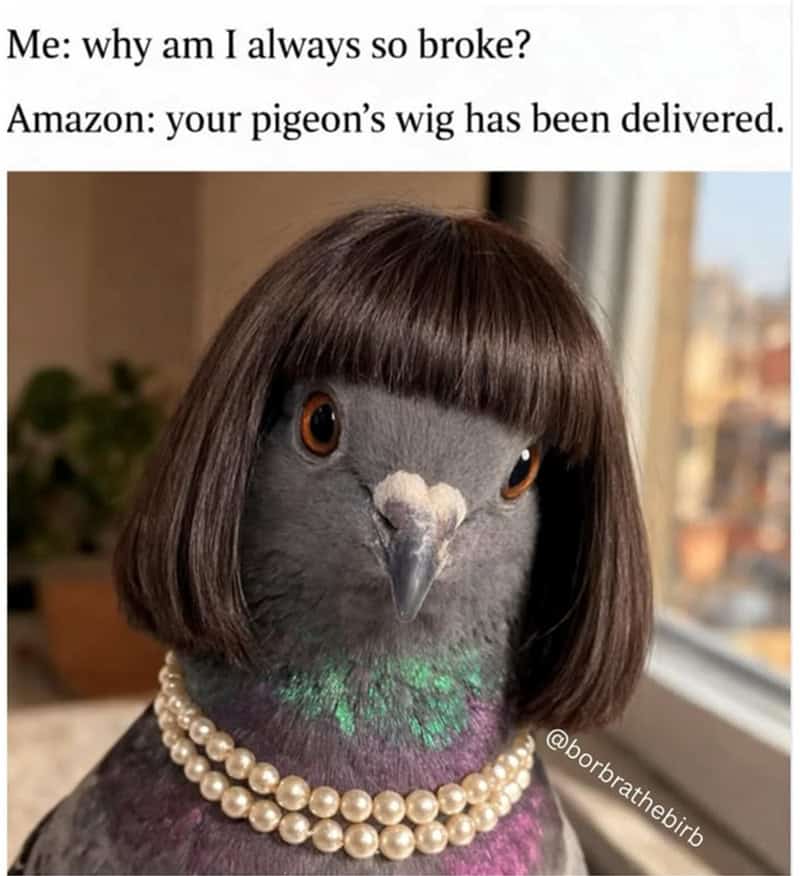 A bird with a human-like hairstyle and pearl necklace, looking directly at the camera.
