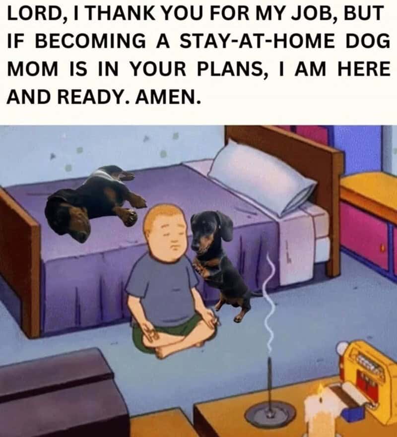 A dog sitting peacefully with a child meditating on a bed, surrounded by dogs and a cat, with a humo.