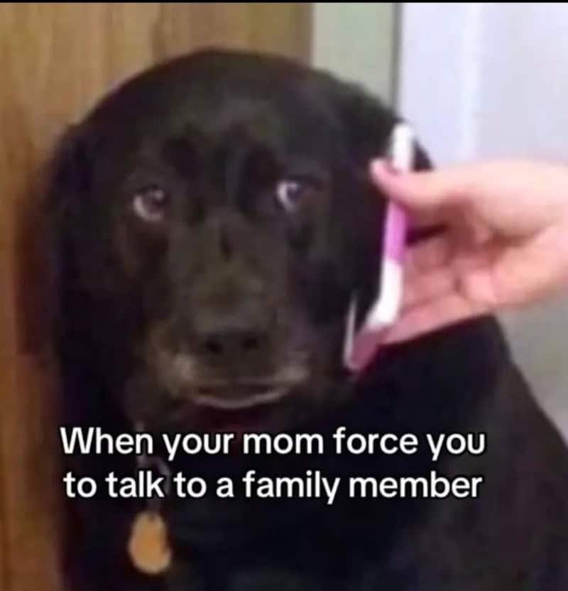 When your mom forces you to talk to a family member.