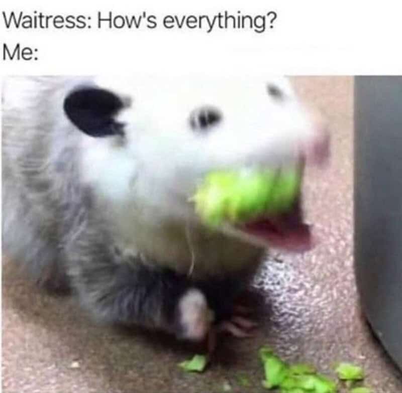 Cute ferret with a green toy in its mouth, lying on the floor.