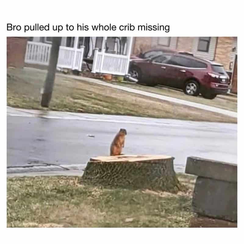 Bro pulled up to his whole crib missing.