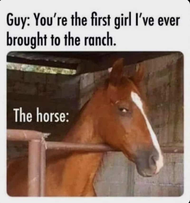 A horse with a white stripe on its face, looking to the side in a stable.
