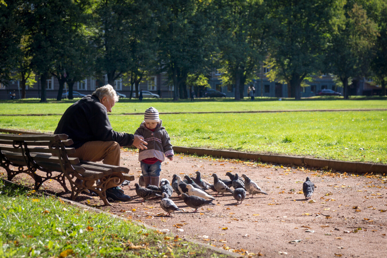 Elderly man and young child feeding pigeons in park on sunny day.