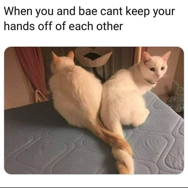 When you and bae can't keep your hands off each other.