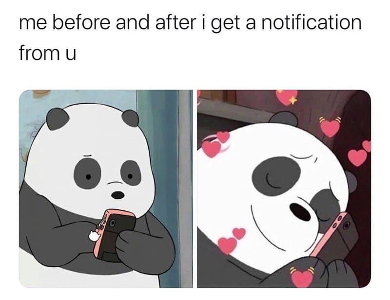 A playful panda character looking at a phone with contrasting emotional reactions.