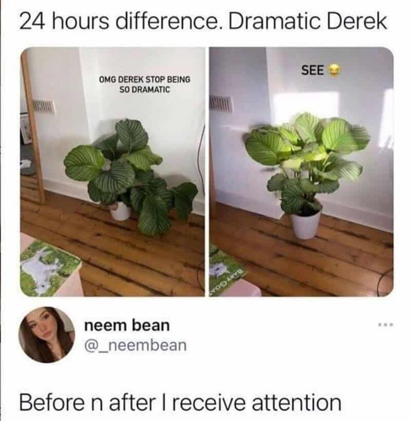 24 hours difference. Dramatic Derek.