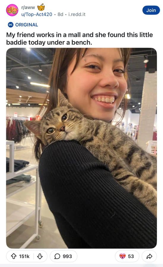 Young woman holding a tabby kitten in a mall, smiling.