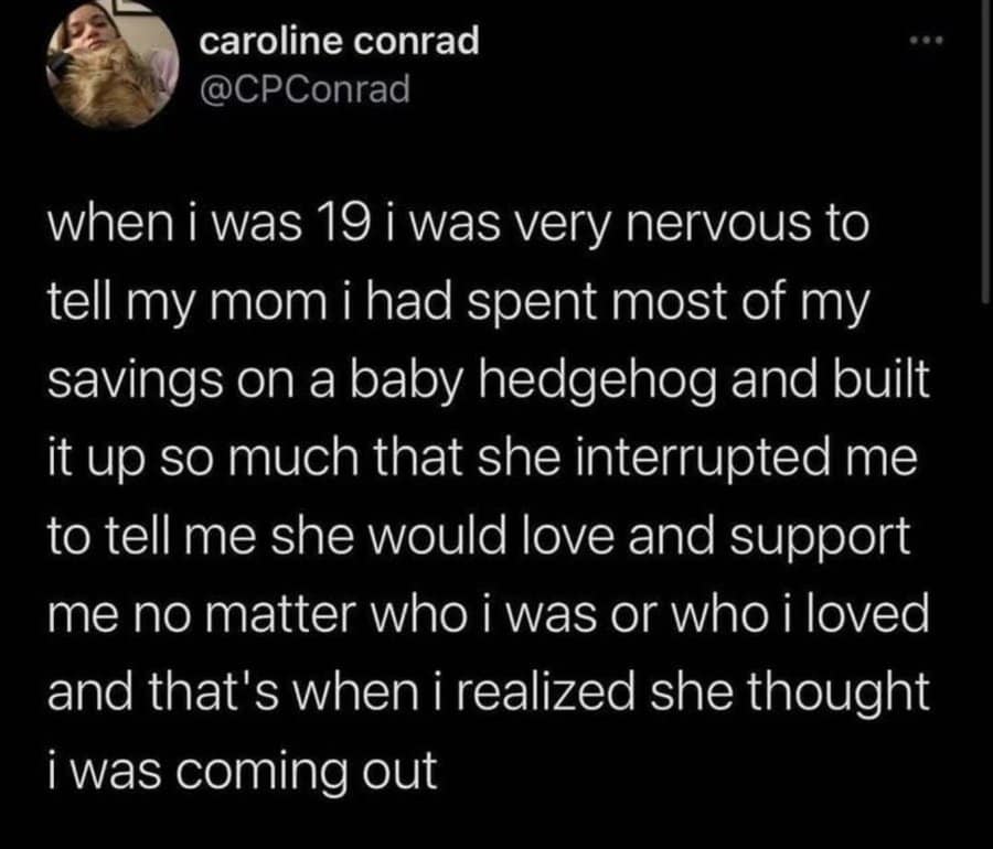A social media post about a girl who saved her money for a pet hedgehog and was supported by her mom.