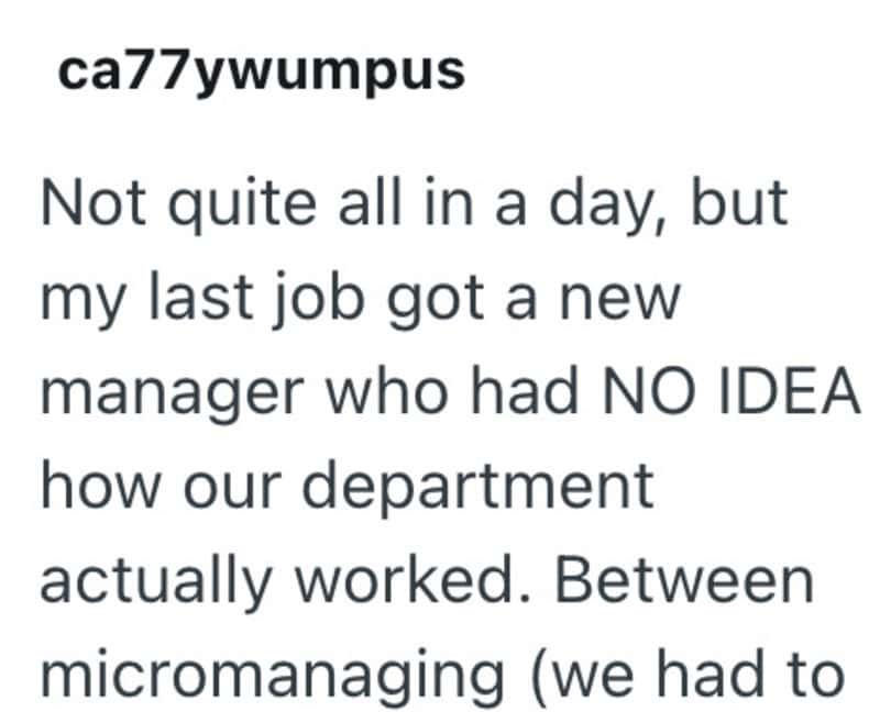 Not quite all in a day, but my last job got a new manager who had NO IDEA how our department actuall.