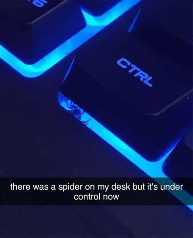 CTRL key illuminated with blue backlight, with a caption: "there was a spider on my desk but it's un.