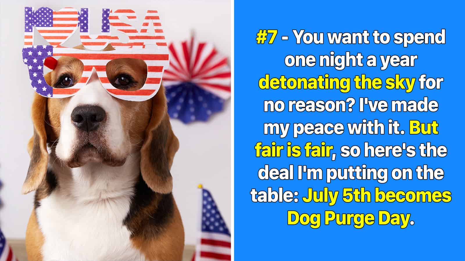 Dog wearing patriotic glasses with American flags and fireworks in background.