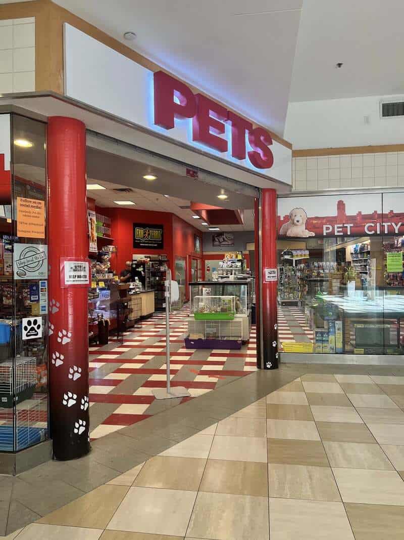 Pet store entrance with red sign and paw print columns, inside visible.
