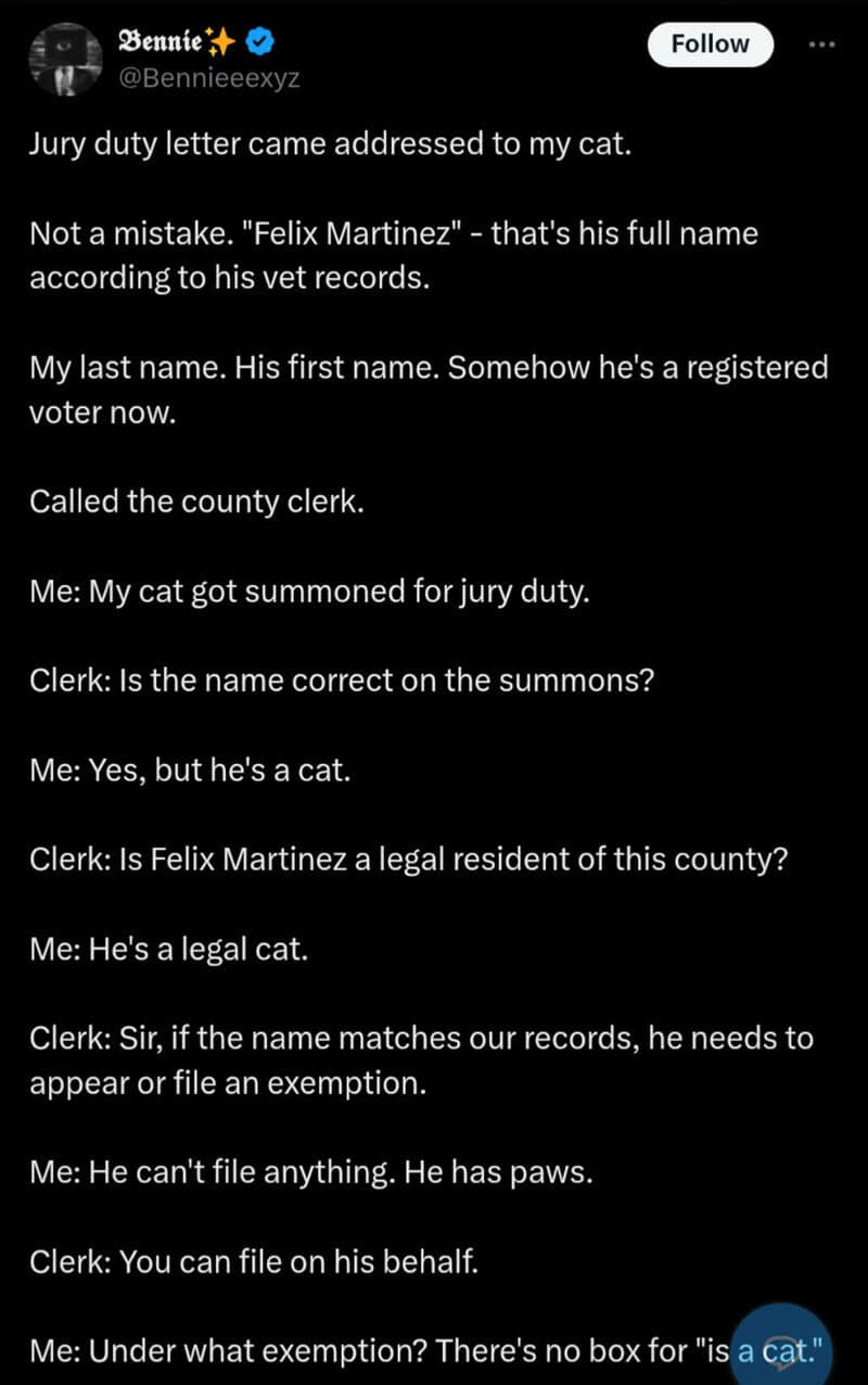 A tweet about a cat named Felix Martinez summoned for jury duty.