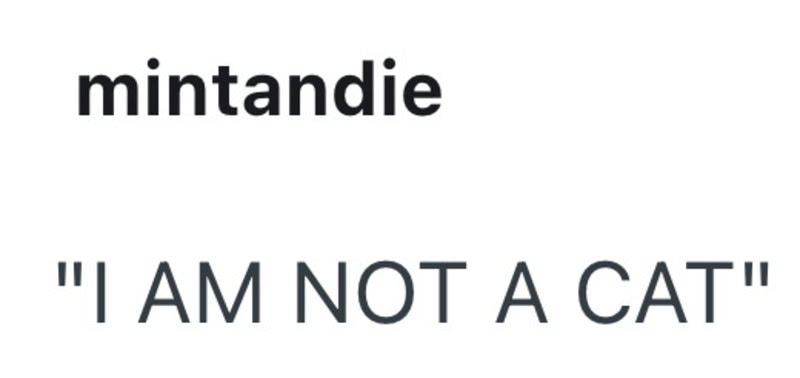 I AM NOT A CAT.