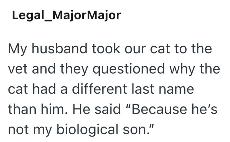 A cat's owner explains why the cat has a different last name than her husband.