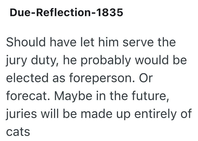 Text about a cat summoned for jury duty and owner explaining why he can't attend.