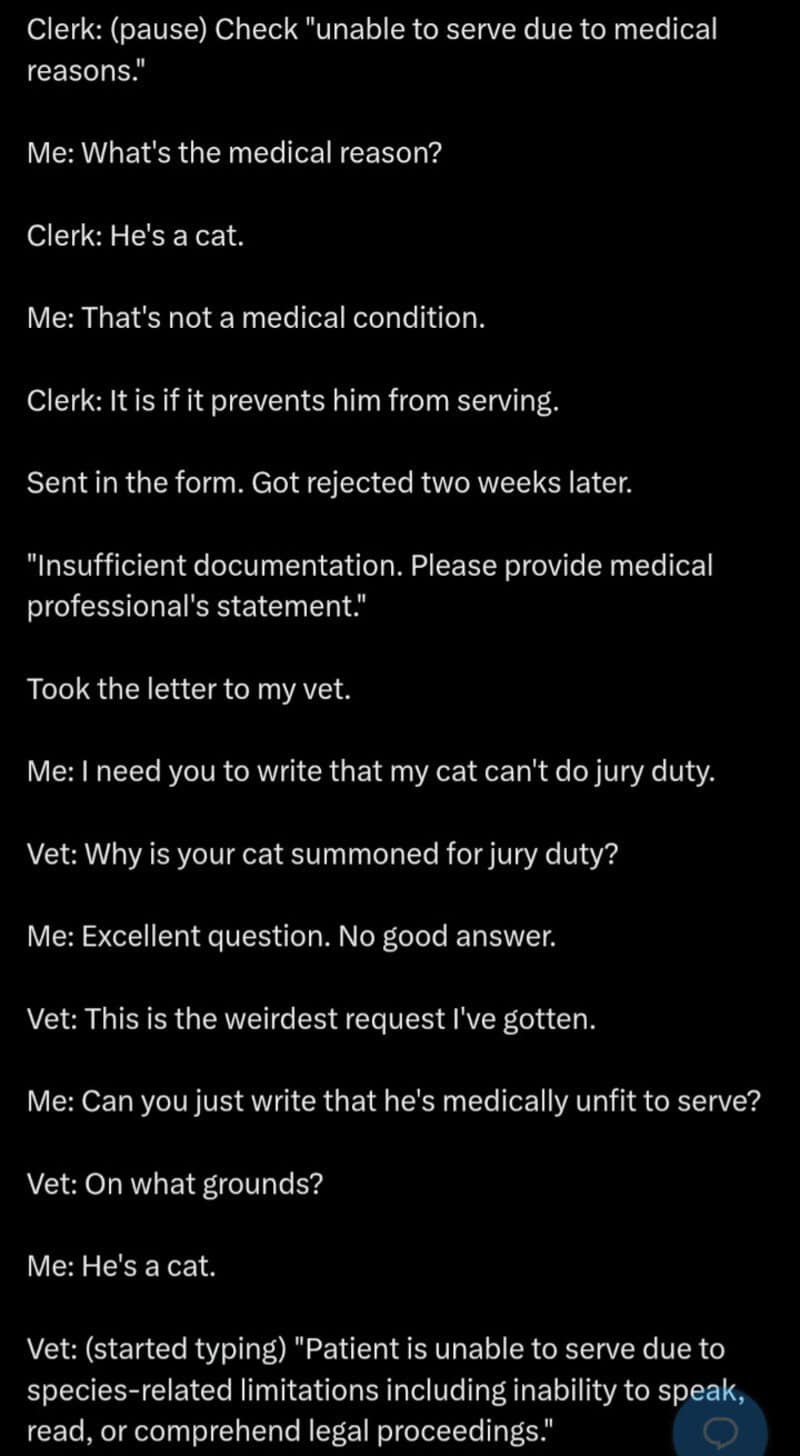 Conversation about a cat summoned for jury duty and medical reasons.