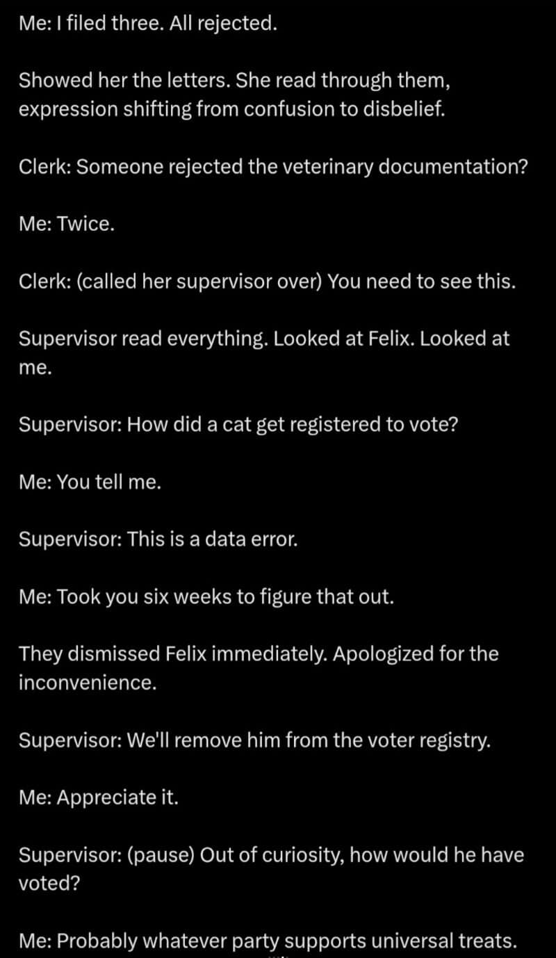 A humorous comic strip about a cat's jury duty and voter registration issues.